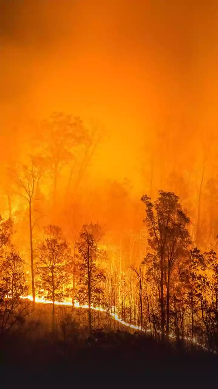 Woman Dies in Fire in Arunachal Village
