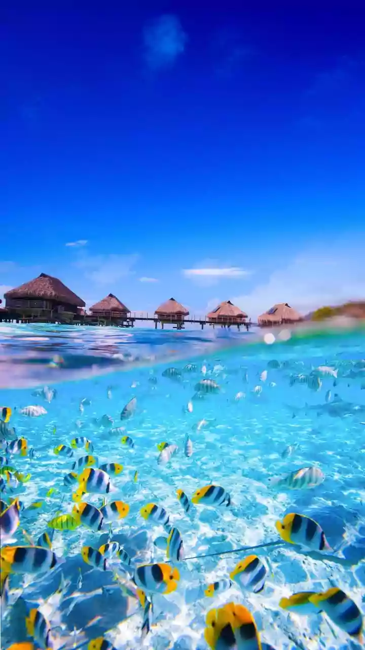 Visa-Easy Holidays Are Looking Extra Tempting Now