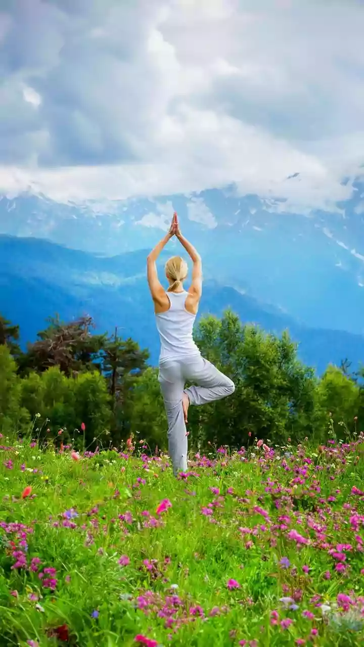 The Ancient Roots Of Yoga How Indian Wellness Evolved Into Global Lifestyle Movements