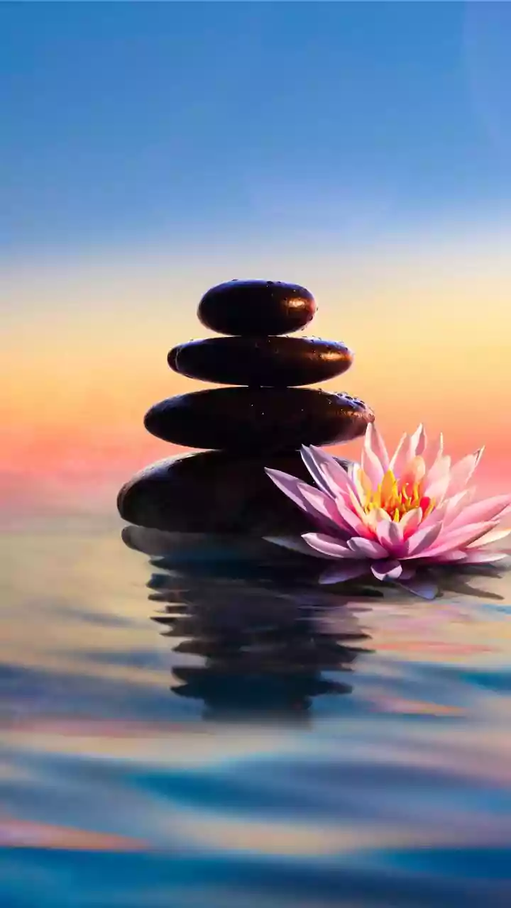 Inner Peace: The Art of Forgiveness & Emotional Wellbeing