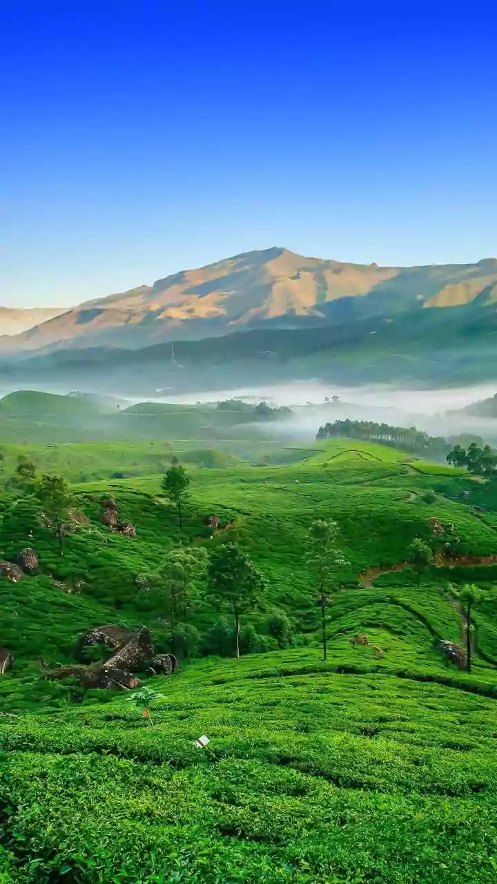 Supreme Court Takes Note Of Aravalli Row, To Hear Matter On Monday