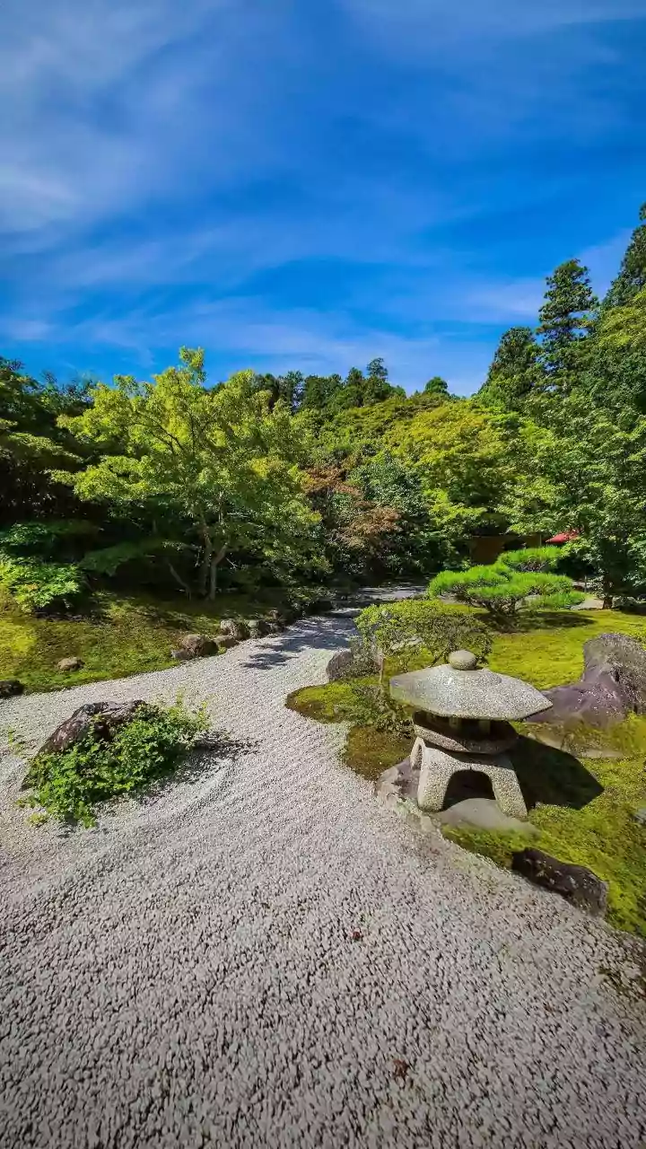 9 Simple Steps to a Happier, Stress-Free Life