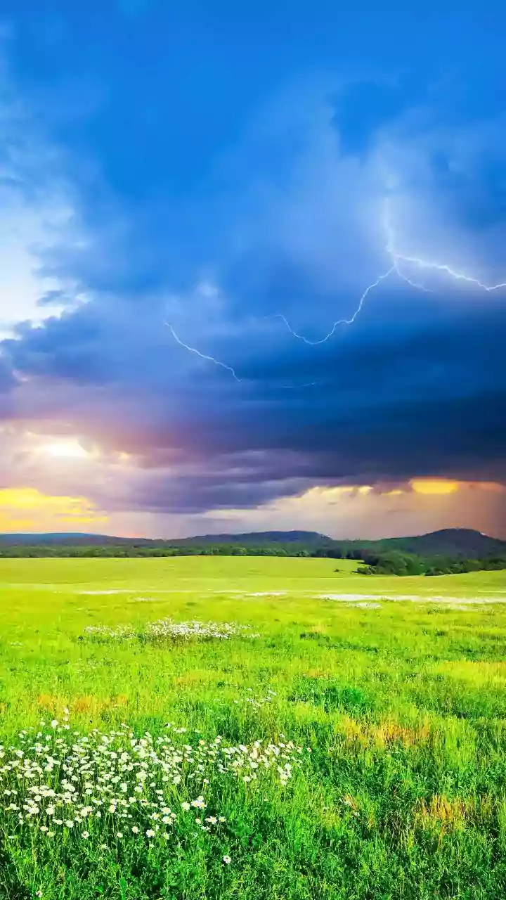 El Niño's Potential Impact On India: What We Know