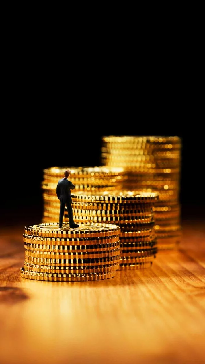 FATF cites ED's asset recovery efforts in money laundering cases