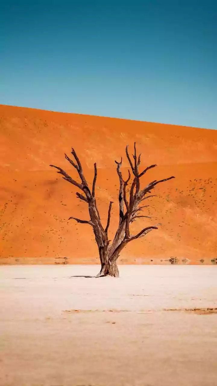 Unlocking Your Body's Diabetes Shield: The Muscle Advantage