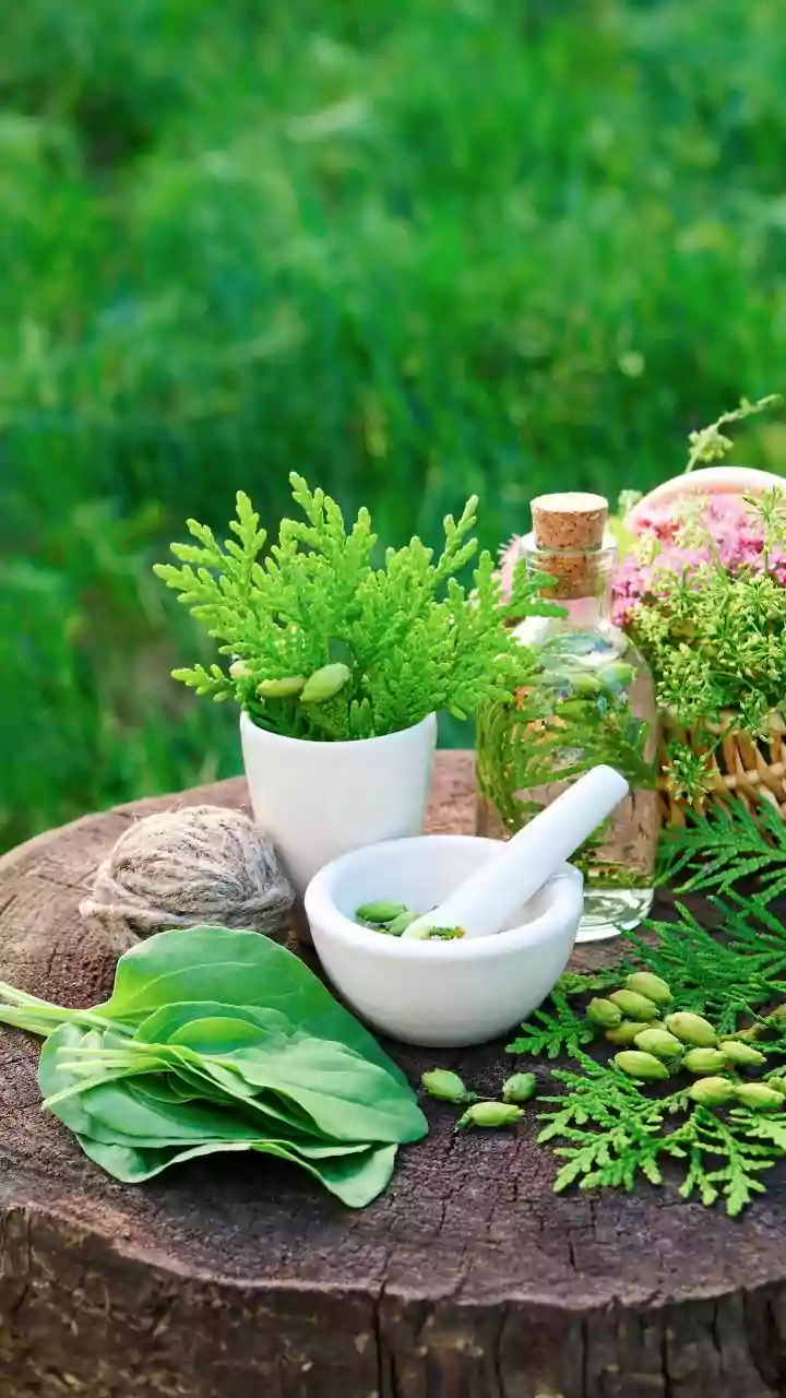 Nature: The ultimate Vitamin. Unlock Freedom from Supplements Overload through Naturopathy