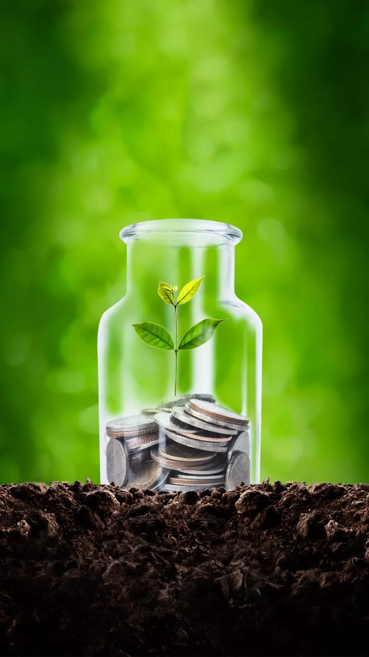 Confused Between Multi-cap and Flexi-cap? Make the Smart Investment Choice