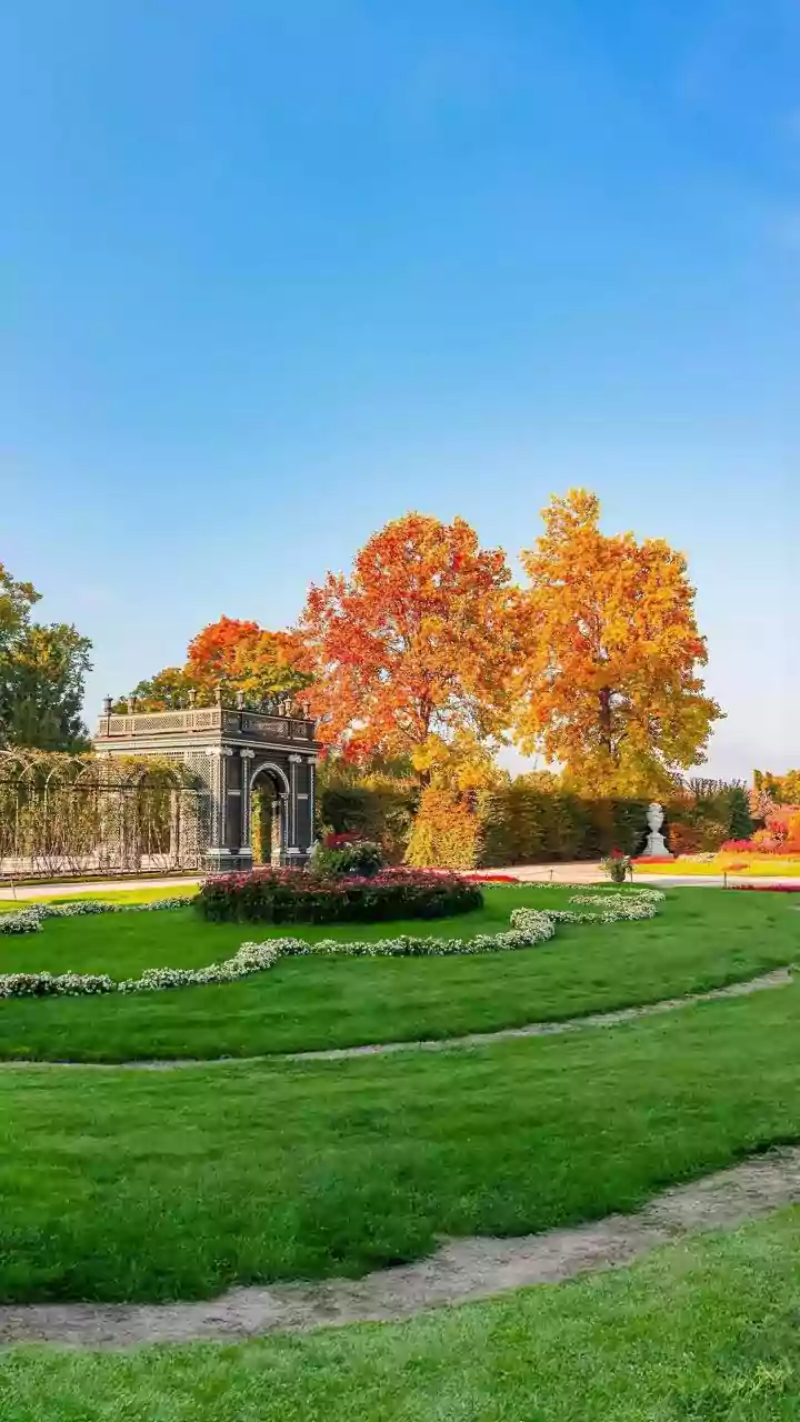 Navigating Love Across Cultures: A Guide