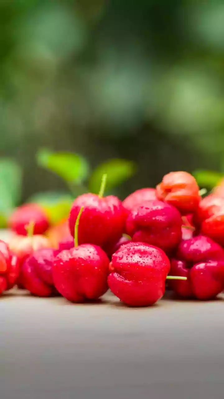 Quer ter um pé de acerola no quintal? Veja estas dicas