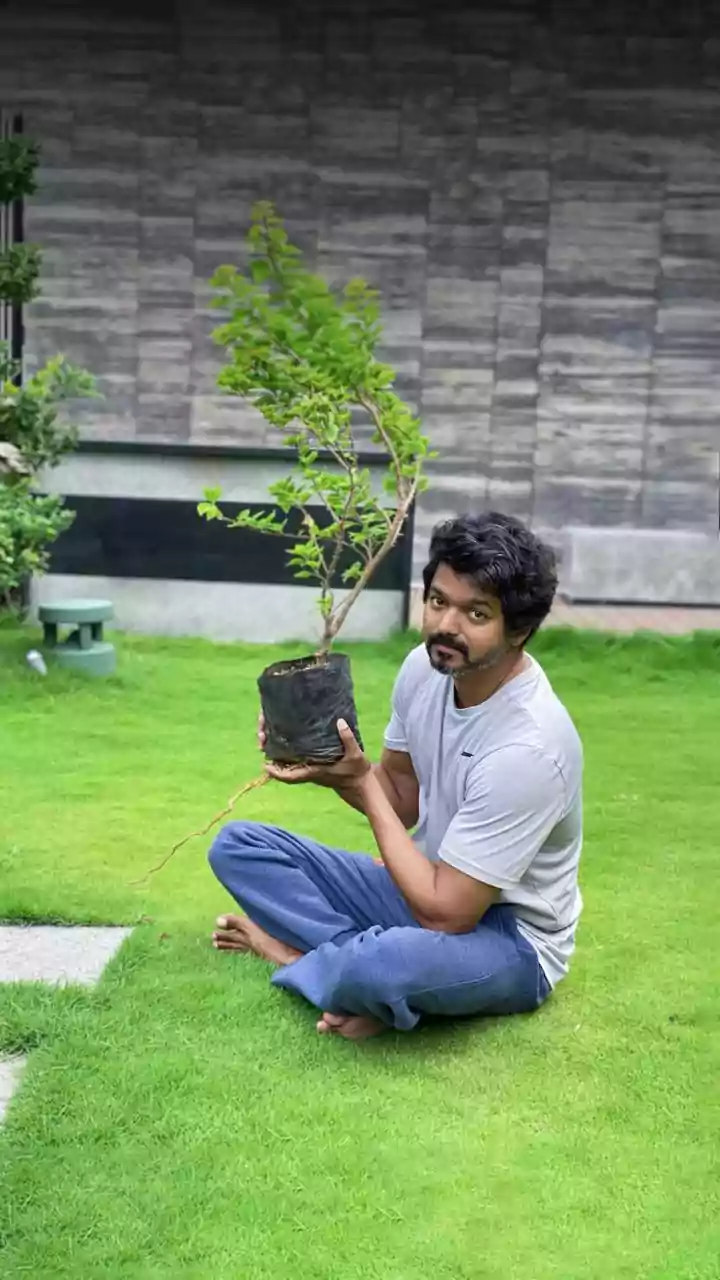 BIG WIN For Jana Nayagan: Madras HC Orders CBFC To Issue UA Certificate To Thalapathy Vijay's Final Film