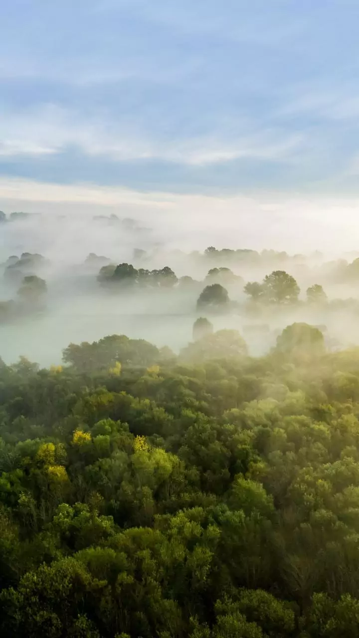 Morning mist treks reopen in Araku Valley for winter hikers