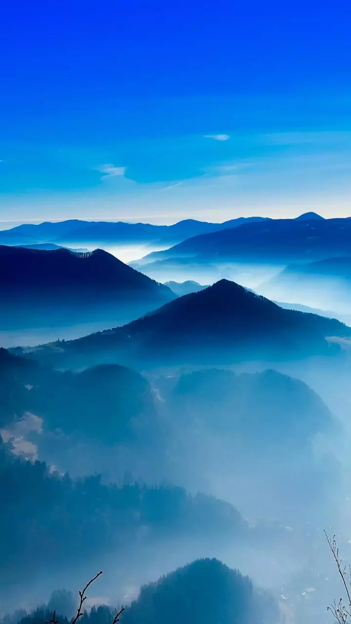 Telangana: Cold wave alert for 11 districts—Bundle up!