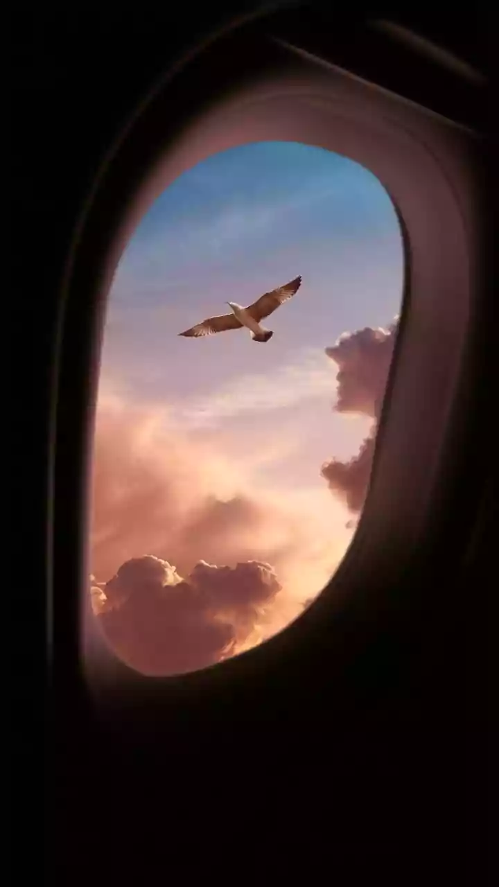 Harry Potter Takes Flight: Magical Aircraft & Routes Revealed!