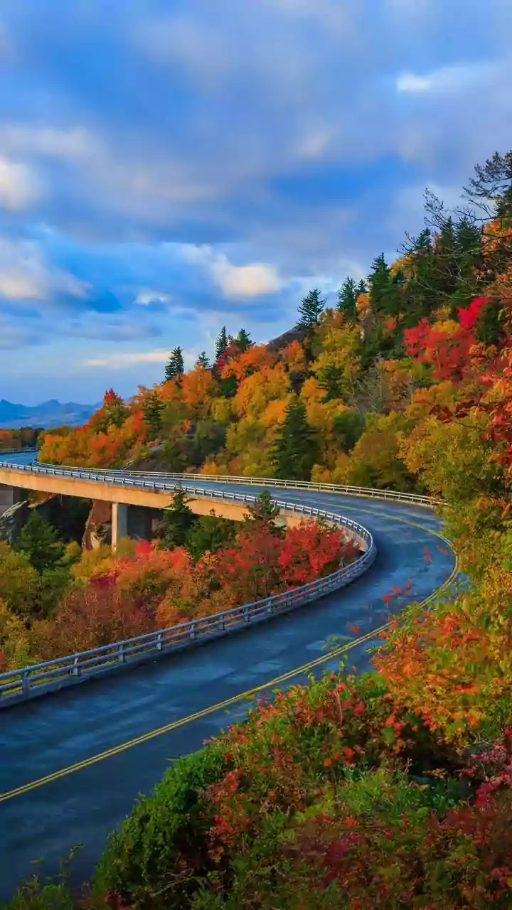 Indian Monsoon Escapes: Where To Go For Scenic Rainy-Season Landscapes