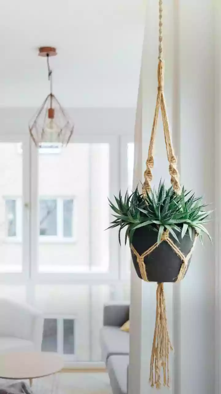Macrame Window Plant Holders Decorate Homes Without Cluttering Your Floor