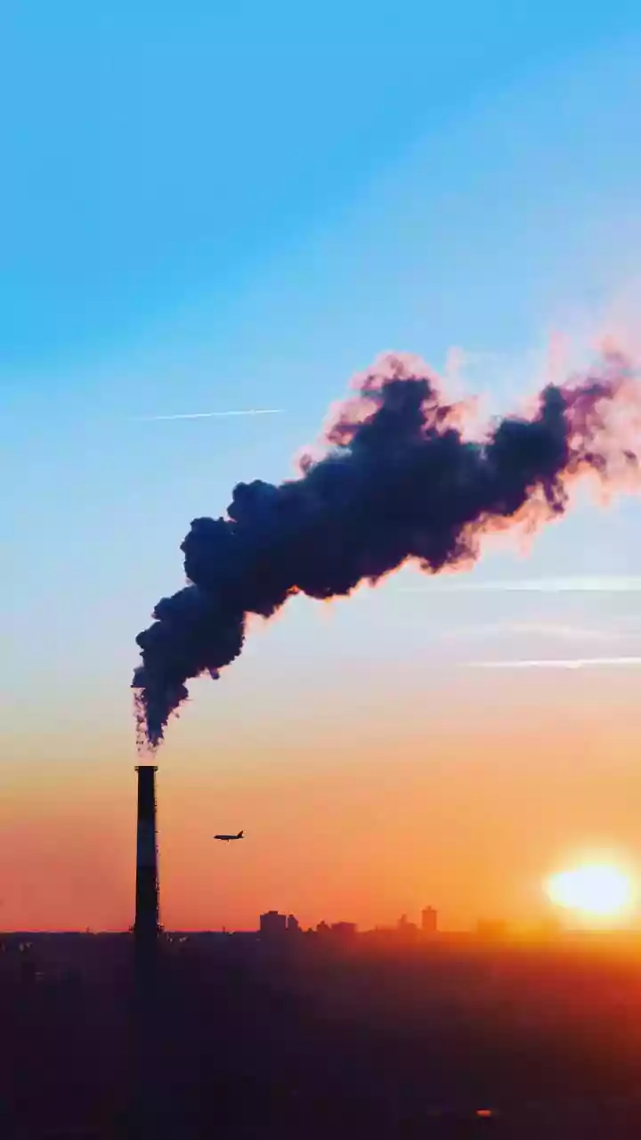 Bharat Coking Coal IPO Allotment Today: Here's Step-By-Step Guide To Check Status Online