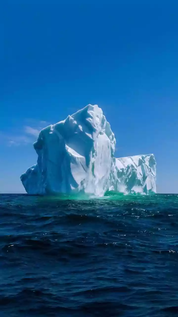 Understanding Ice Nucleating Proteins and Their Role in Marine Applications