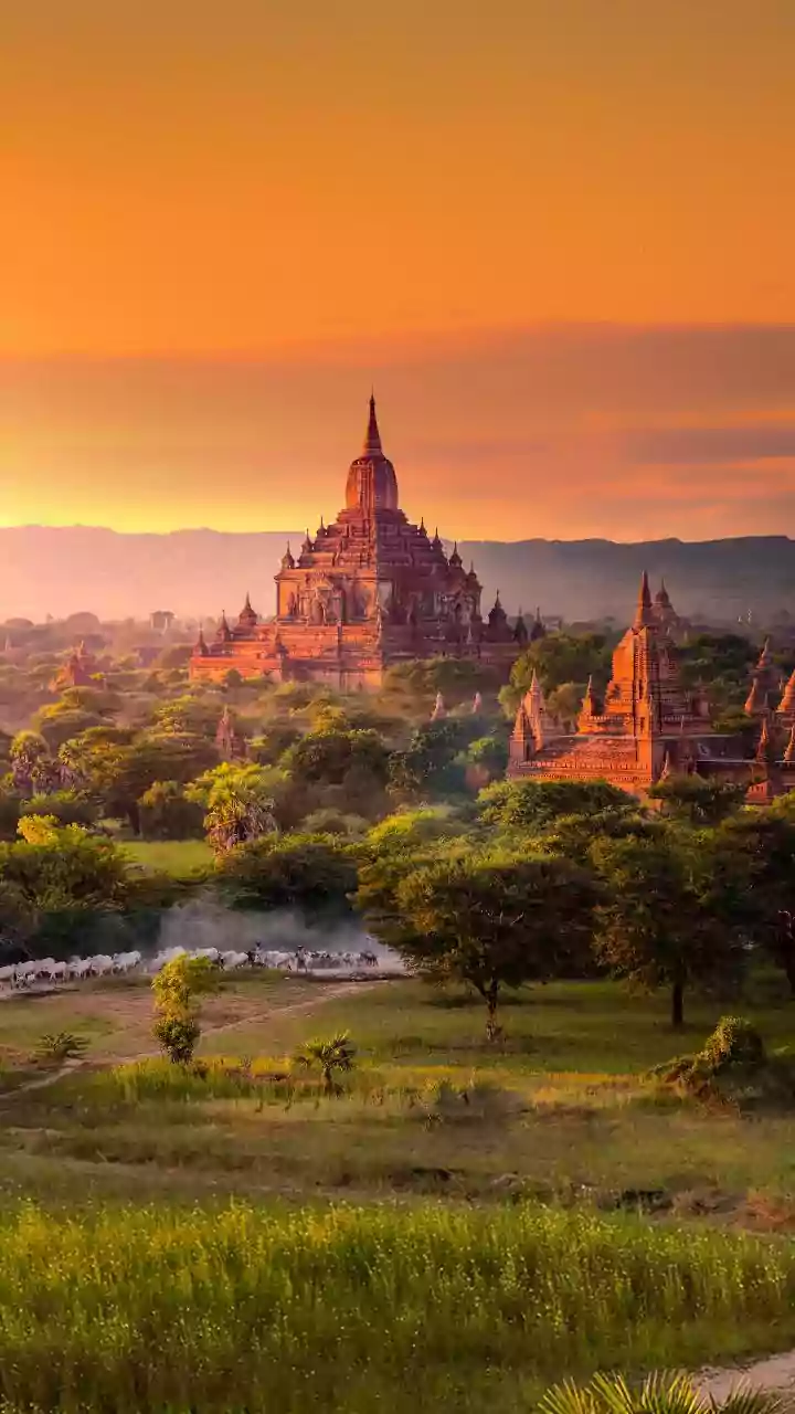 3 Indians rescued from Myanmar job scam, brought back home