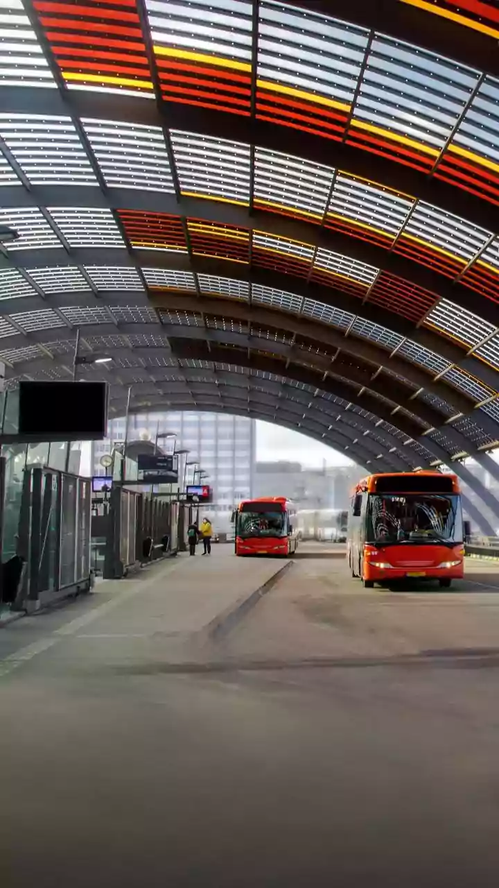 Solo Traveller's Viral Plea: Missed Bus Or Operator Flaw? NueGo Responds to Backlash