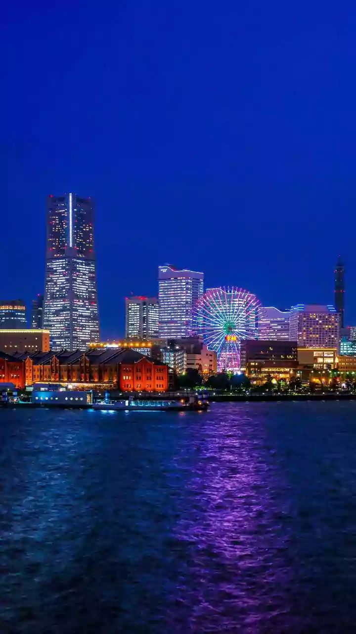 Japanese University to confer honorary DLitt on West Bengal CM