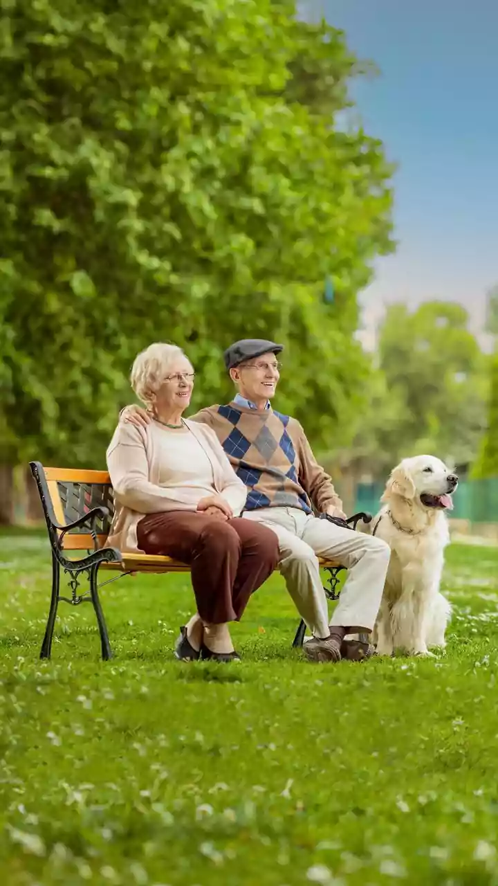 Inside DNA Study On Why Large Dogs Age Faster: Large Breeds Showed More Methylation Loss
