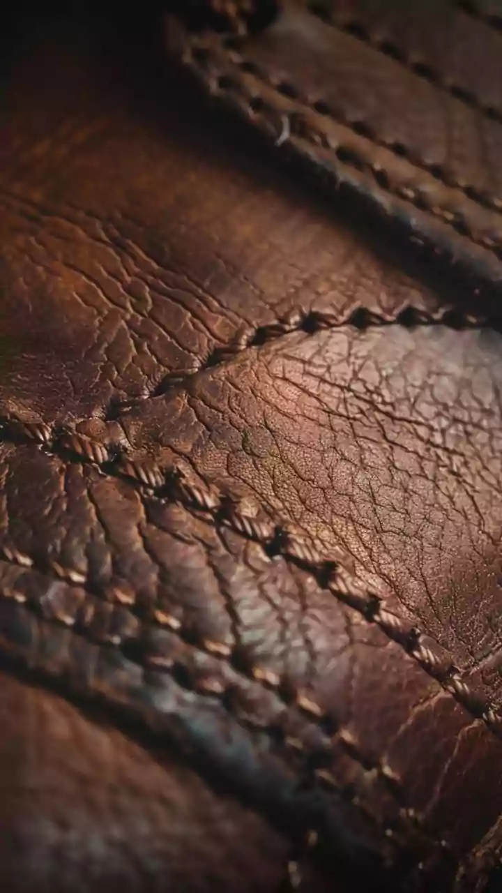 Leather players flag US tariffs issues in meeting with Parliamentary panel