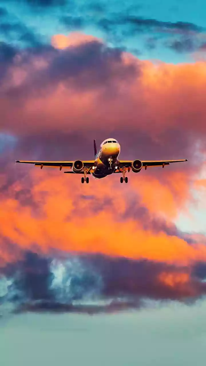 How A Passenger Plane Stays Under Control During A Pilot Emergency