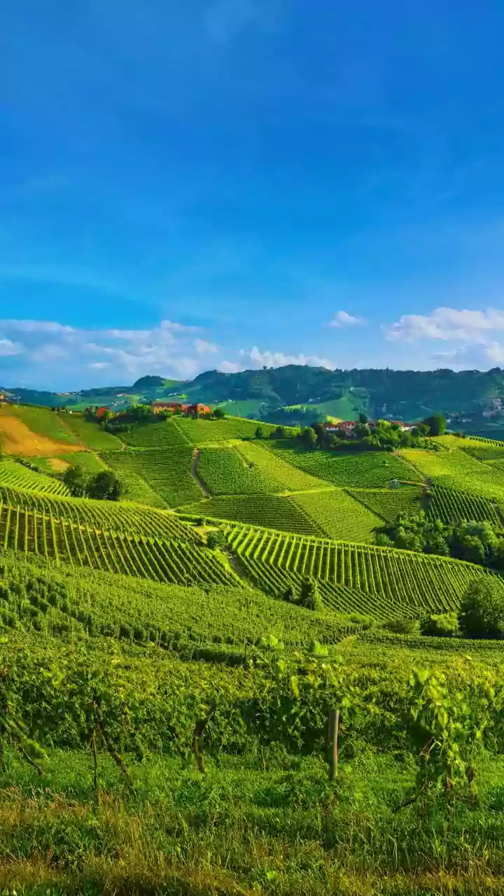 Tuscany Road Trip: Links Florence, Siena And Scenic Countryside Stops And Can Combine Art, Hill Towns And Vineyards In One Route