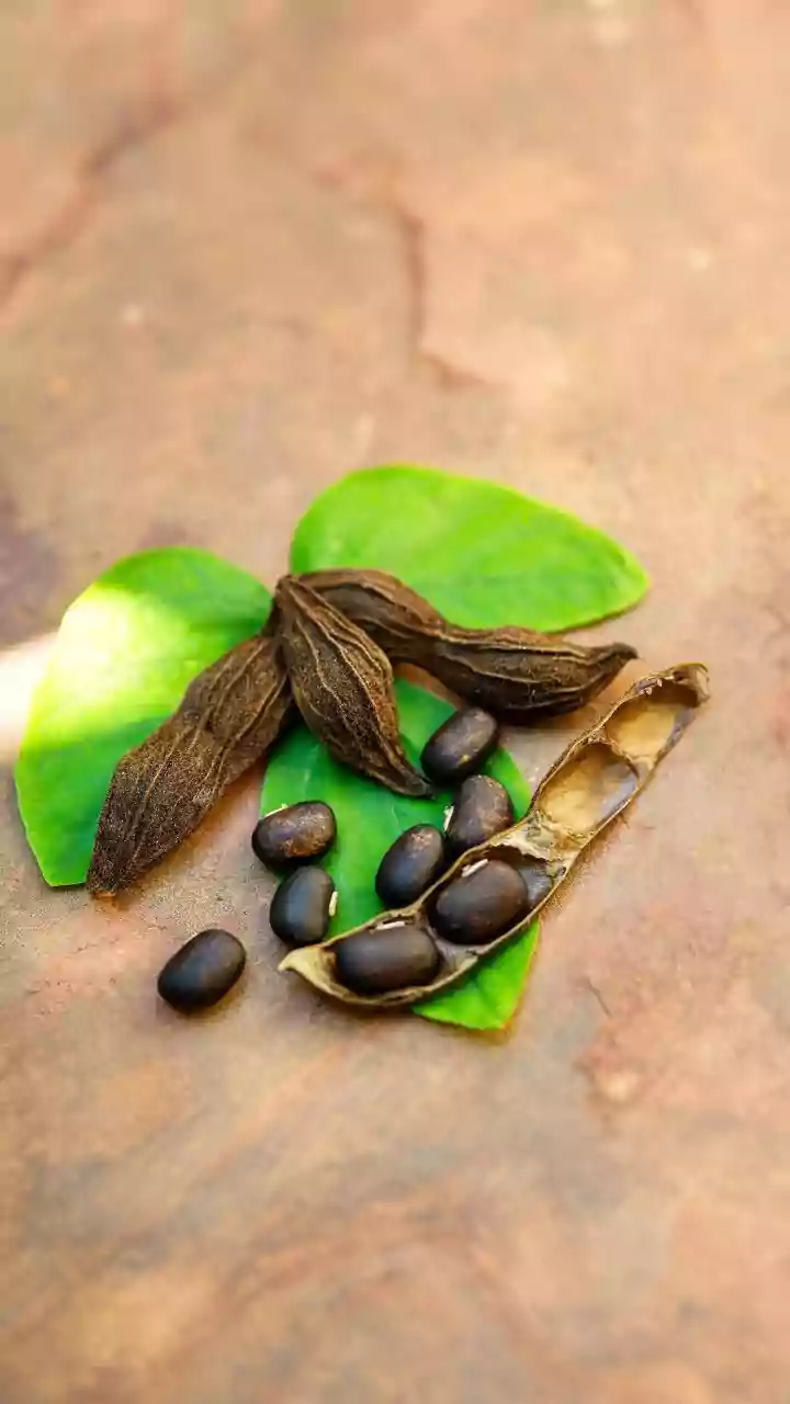 Step-by-step guide to hand-painted brooches