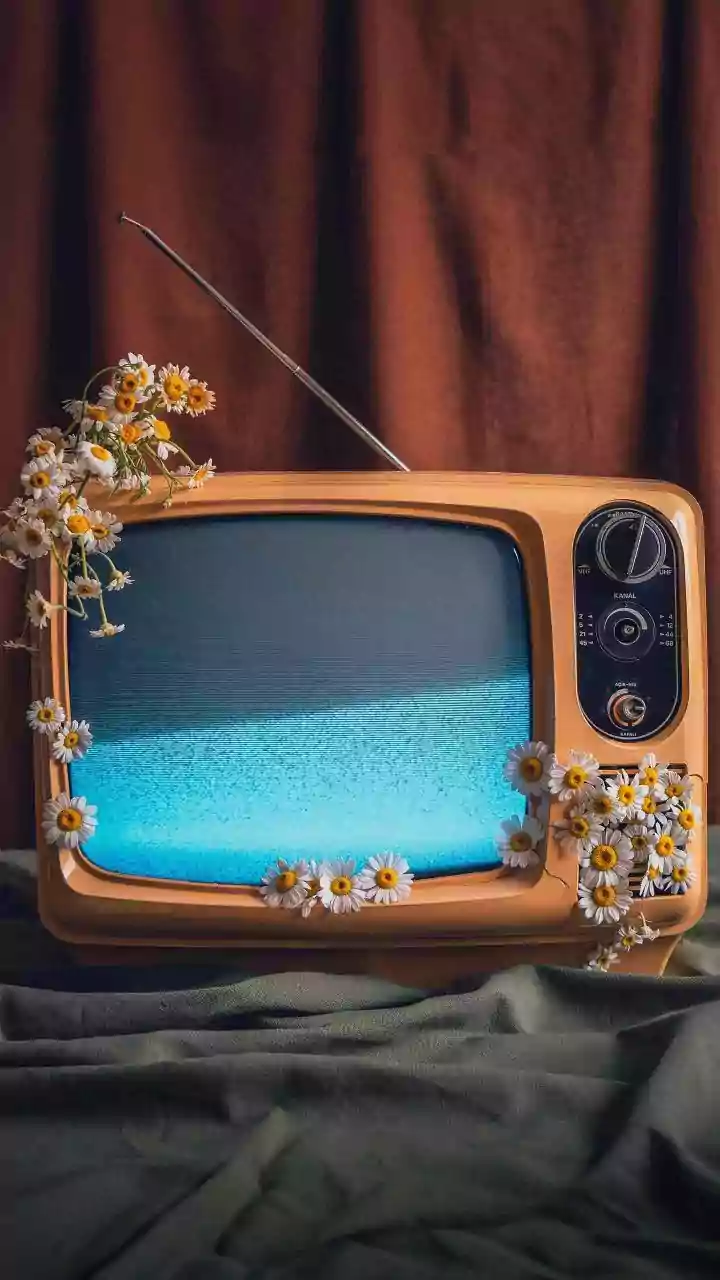 Streaming platforms ramp up reality programming this festive season