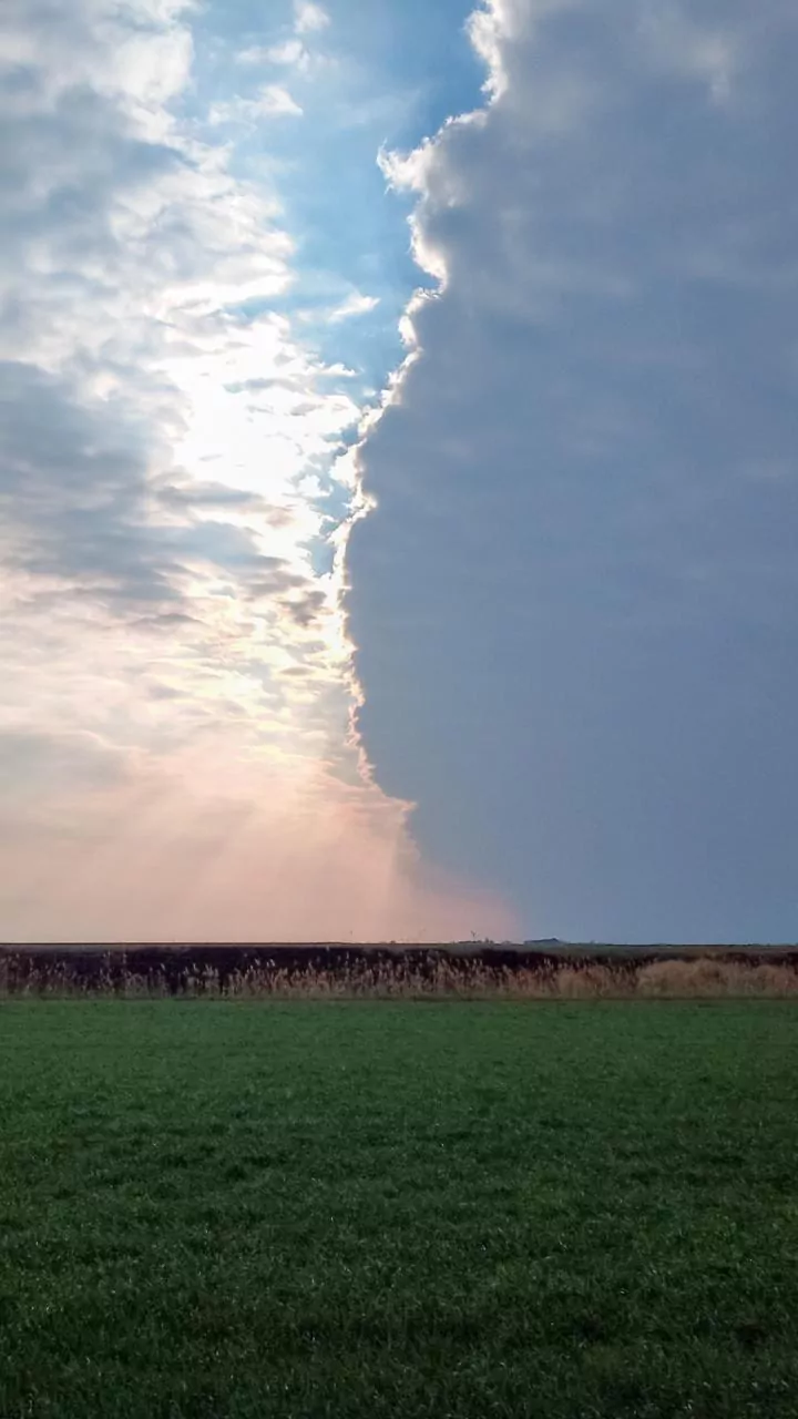Frente fria e dor de cabeça: como mudanças de clima podem afetar o cérebro?