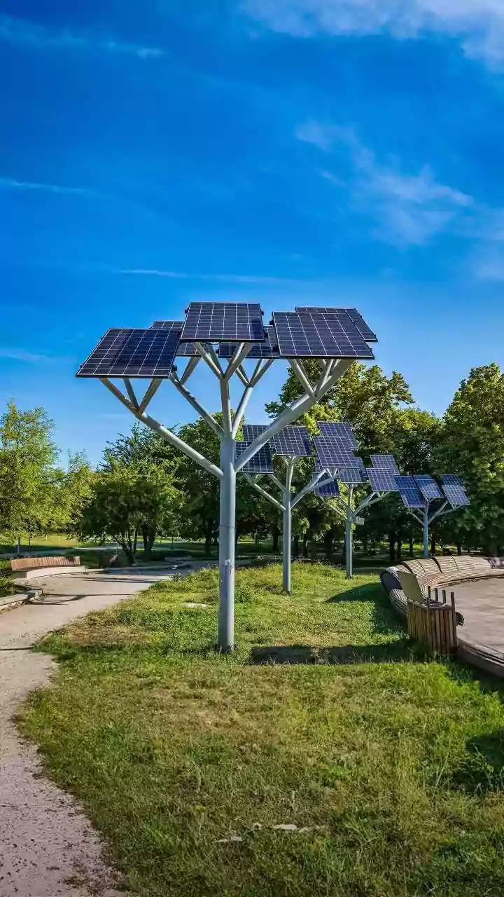 Why Weather-Resilient Solar Panels Could Become The Next Big Clean Energy Trend