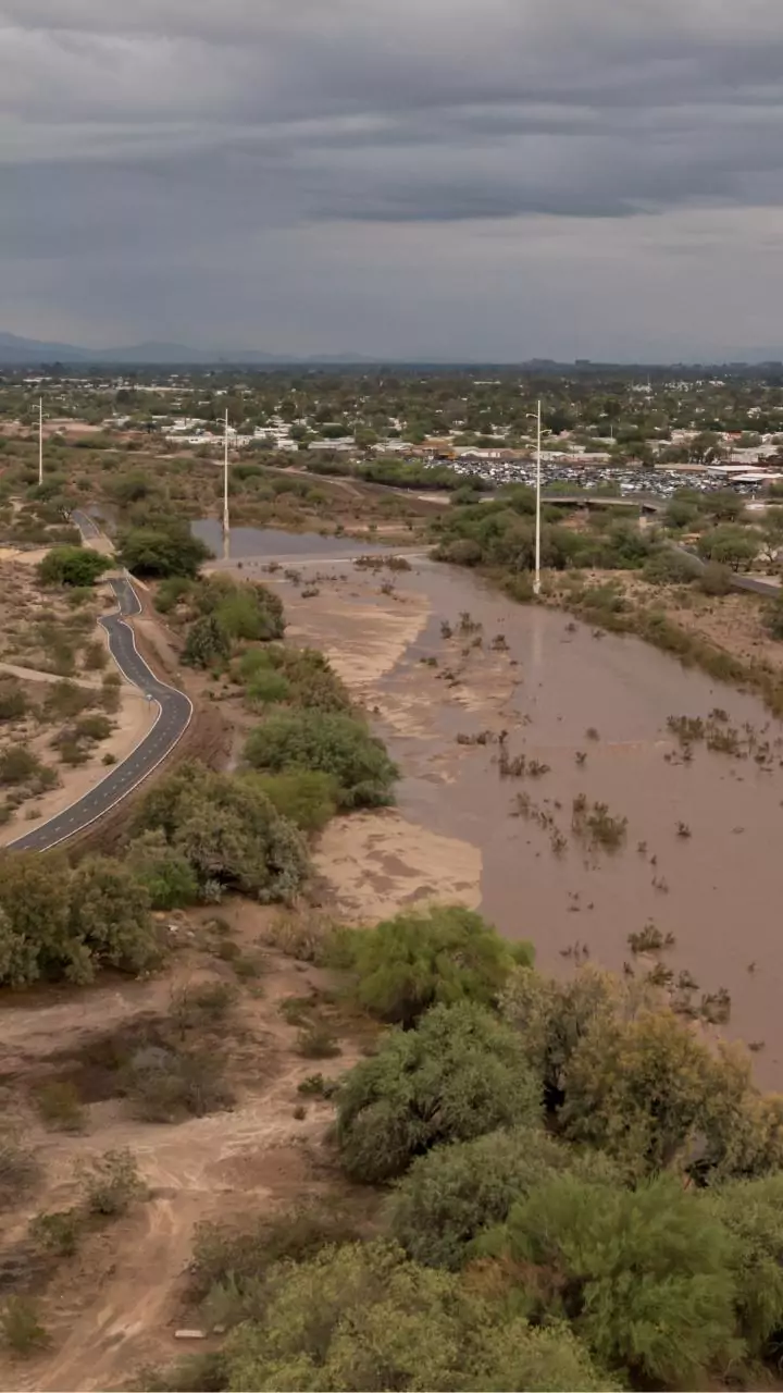 Jabalpur canal bank breach: No casualty, says official; incident 4 months after viral seepage video