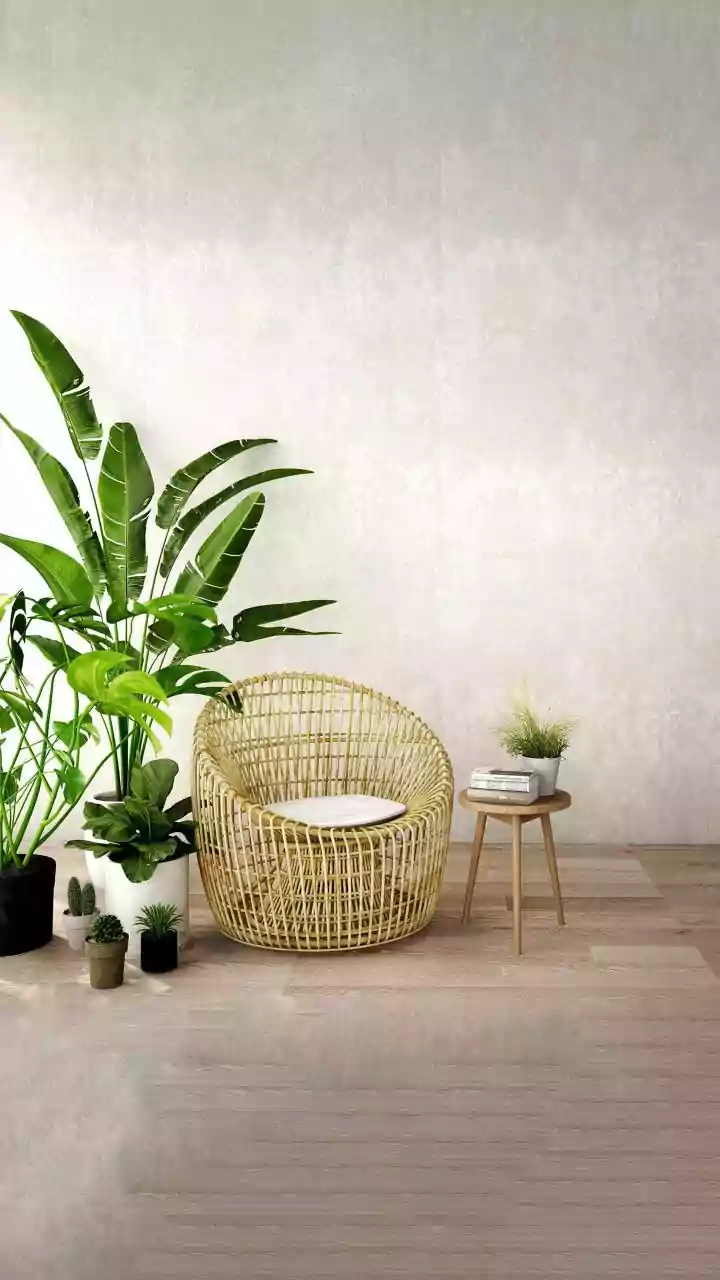 Seven Ways To Reduce Monsoon Dampness In Your Home