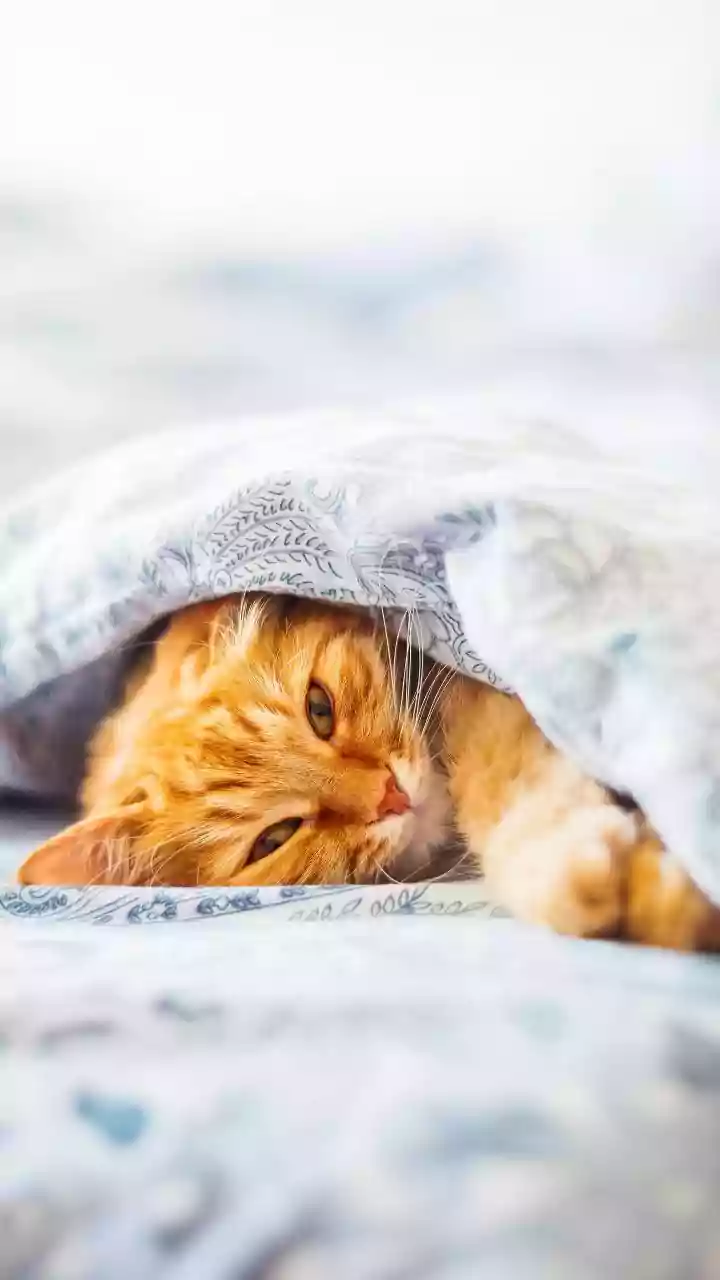 How to Sleep Better During Hot Weather