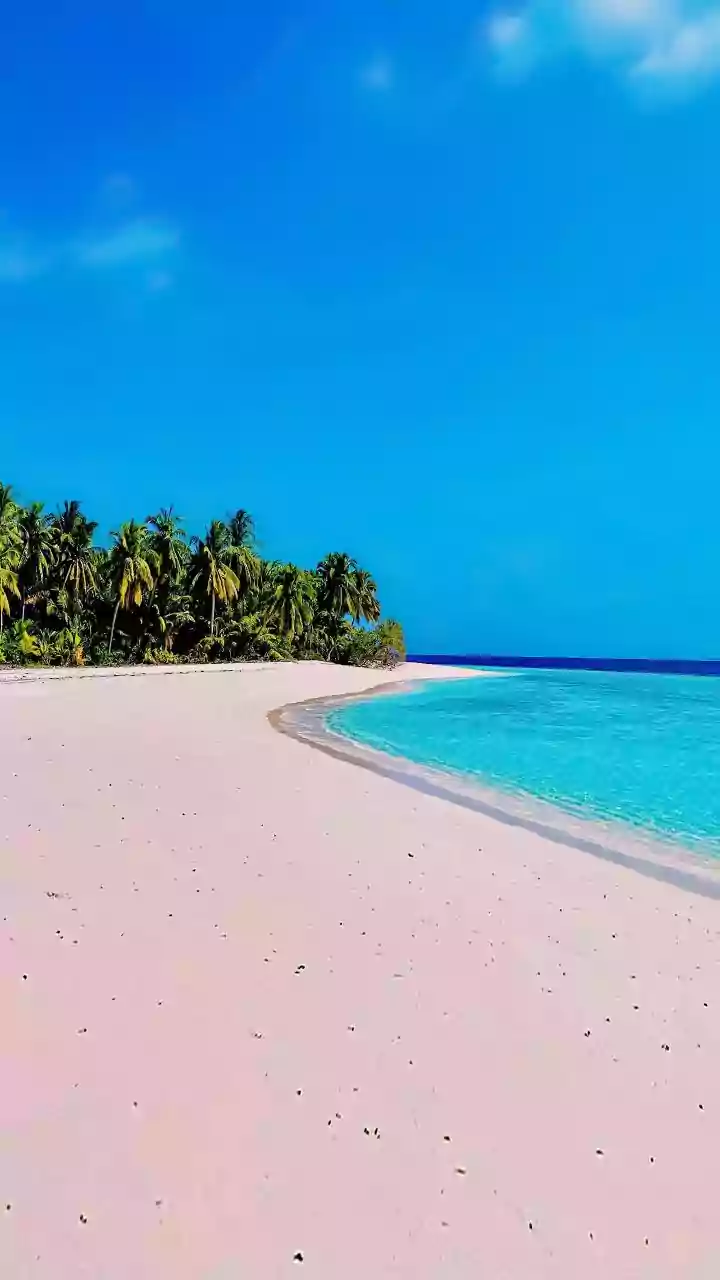 How Lakshadweep Island Administration Uses Sustainable Travel Guidelines To Protect Coastal Coral Reefs