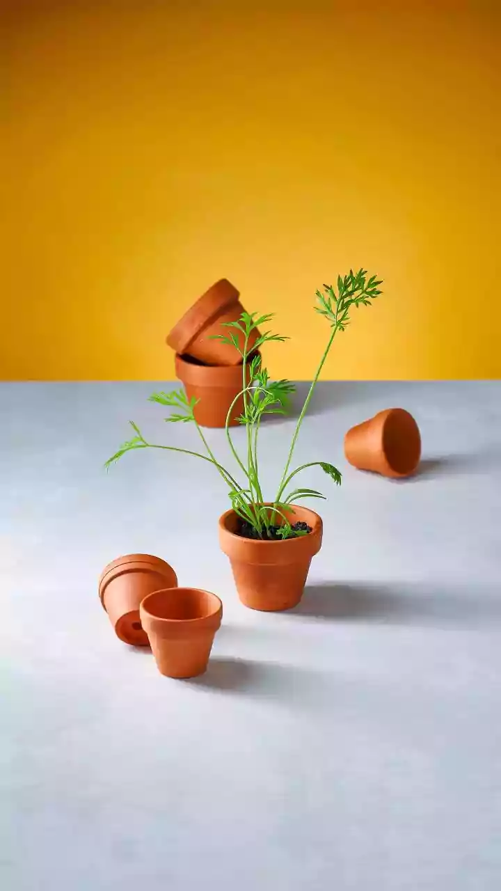 How To Create A Sustainable Festive Corner With Terracotta Pots And Warm Yellow Lights