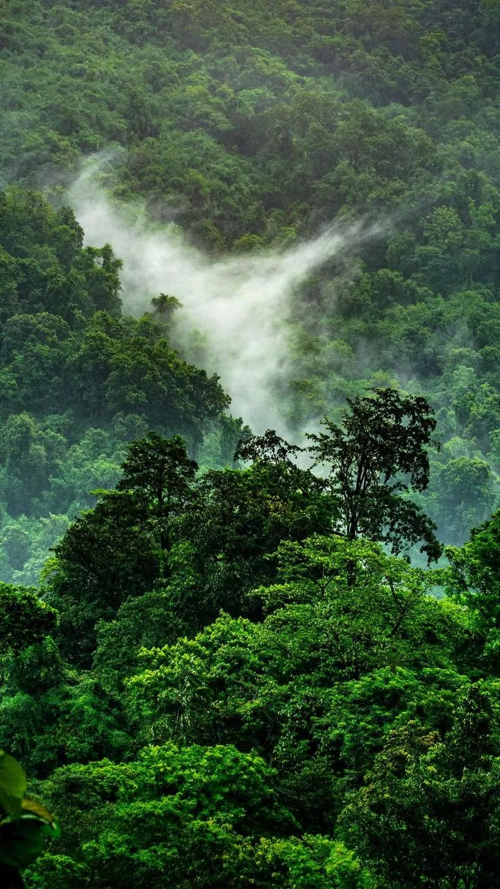 The Rainy-Season Getaway Worth Booking