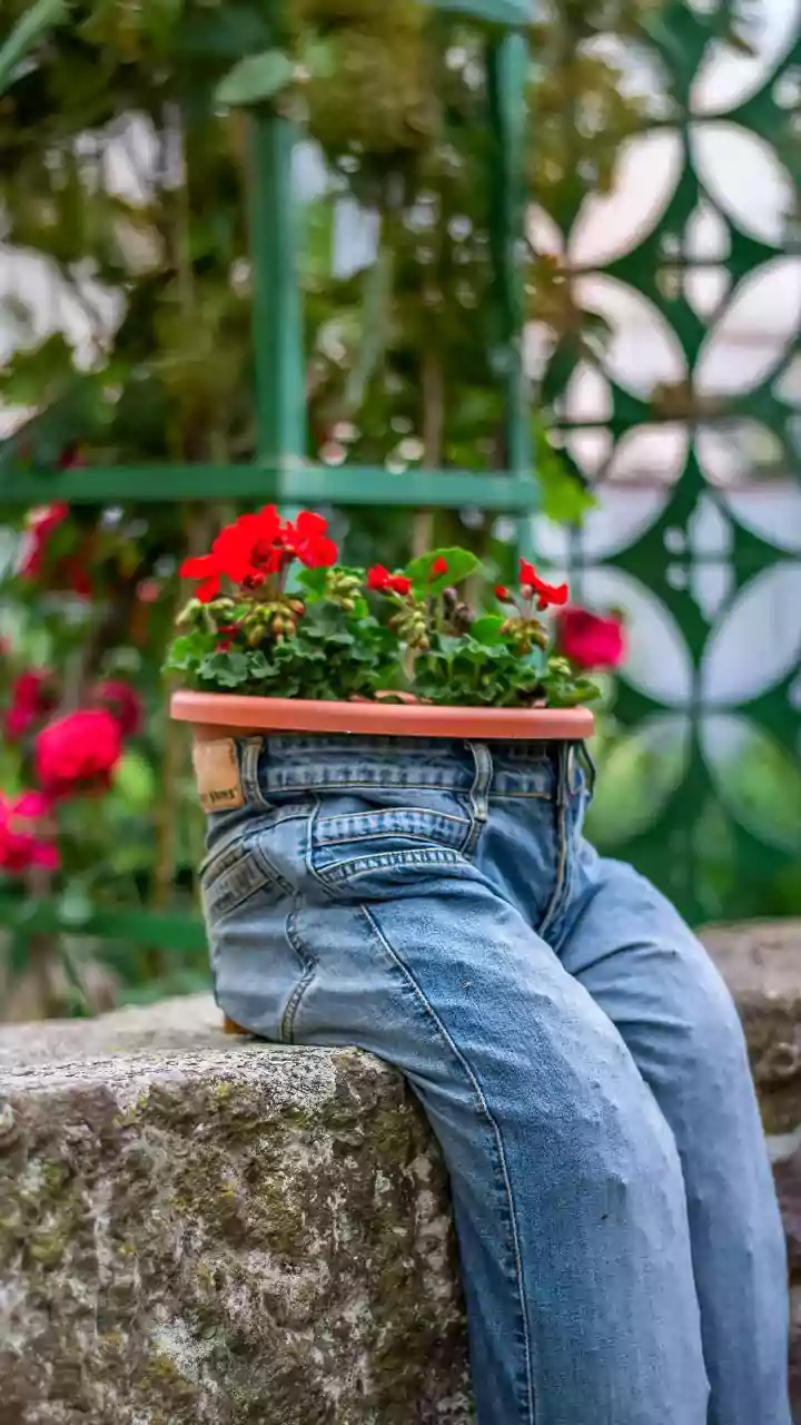 Over 10,000 flower pots stolen from Rashtriya Prerna Sthal in Lucknow after PM Modi’s event, videos go viral