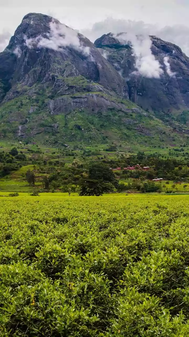 South Indian road trippers choose Araku Valley Vistadome rail journeys for monsoon mountain views