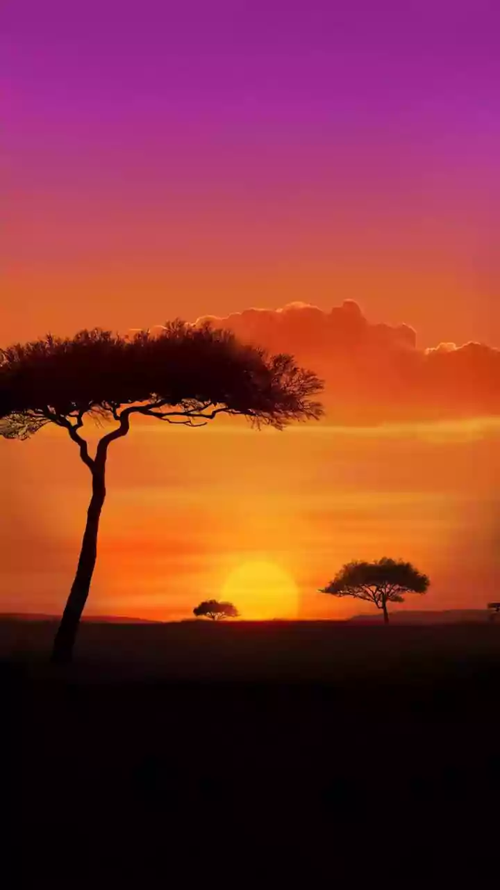 A Safari-Led South Africa Trip Can Reset a Rushed Travel Style