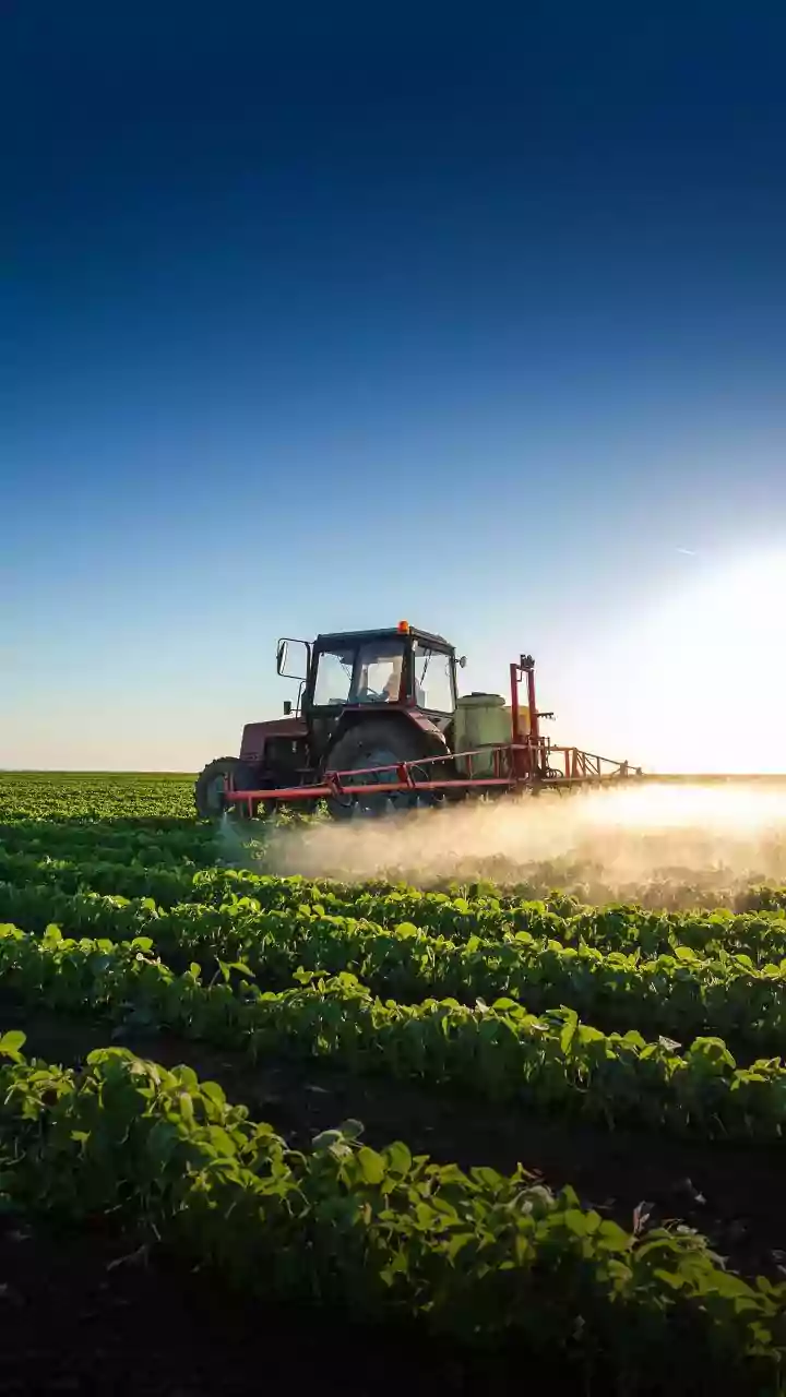 What Proposed Pesticide Controls On Indian Tea Mean For Consumer Transparency