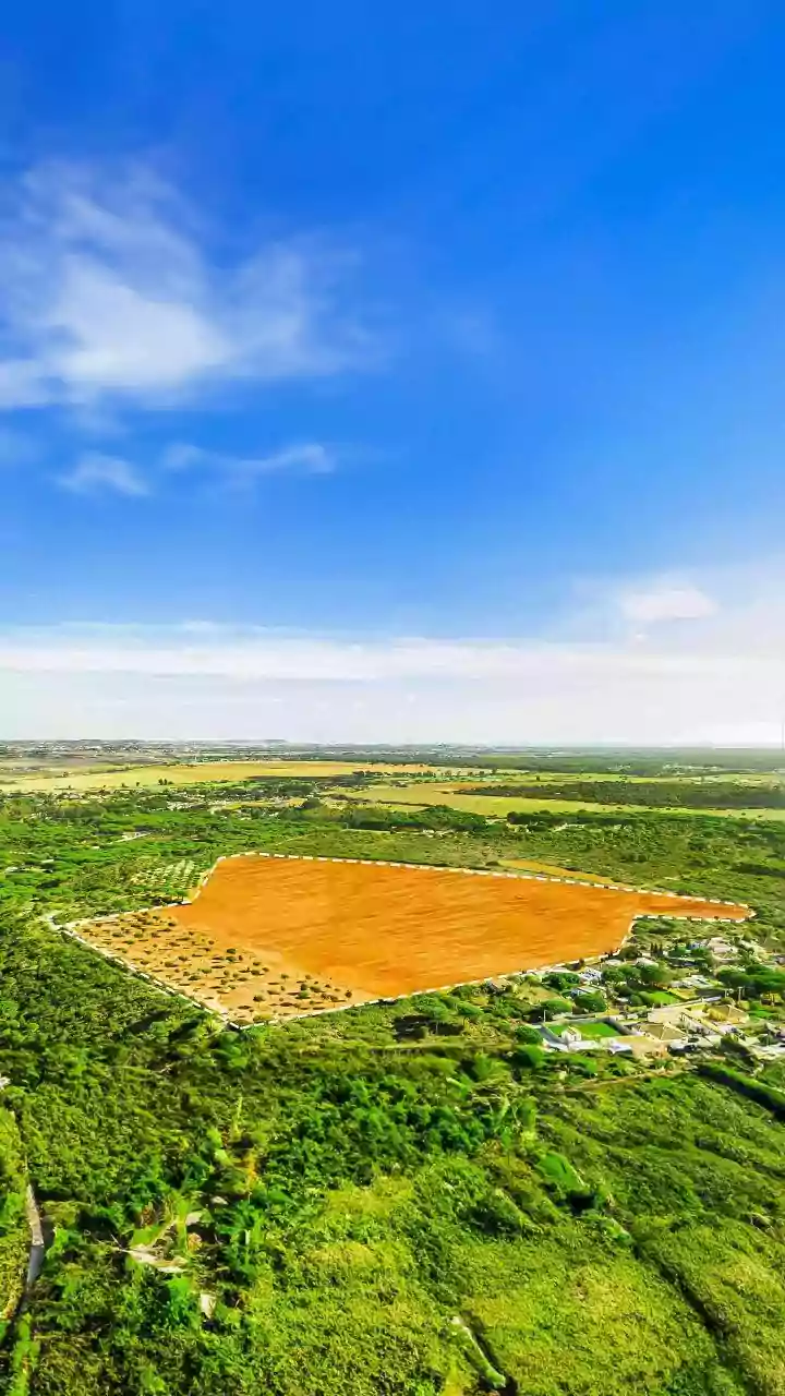 Haryana Land Near Noida Sector 151: A Rs 4 Crore to Rs 9 Crore Investment Leap in 2 Years?