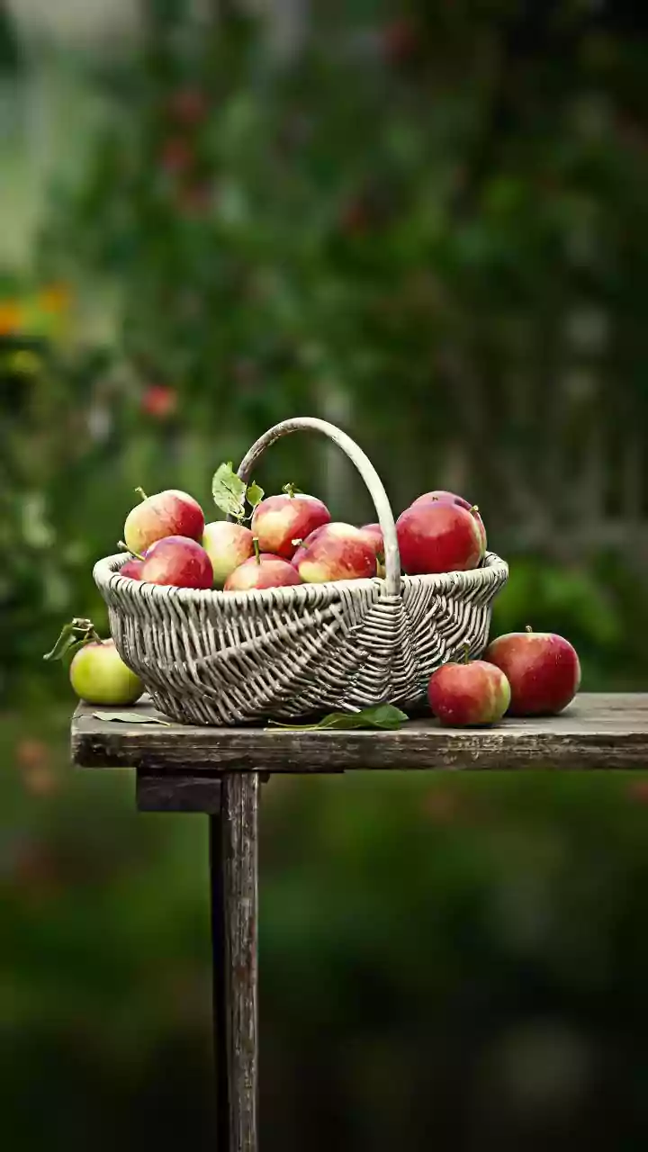 Can Picking Fruit in Europe Earn You More Than an IT Desk Job in India?