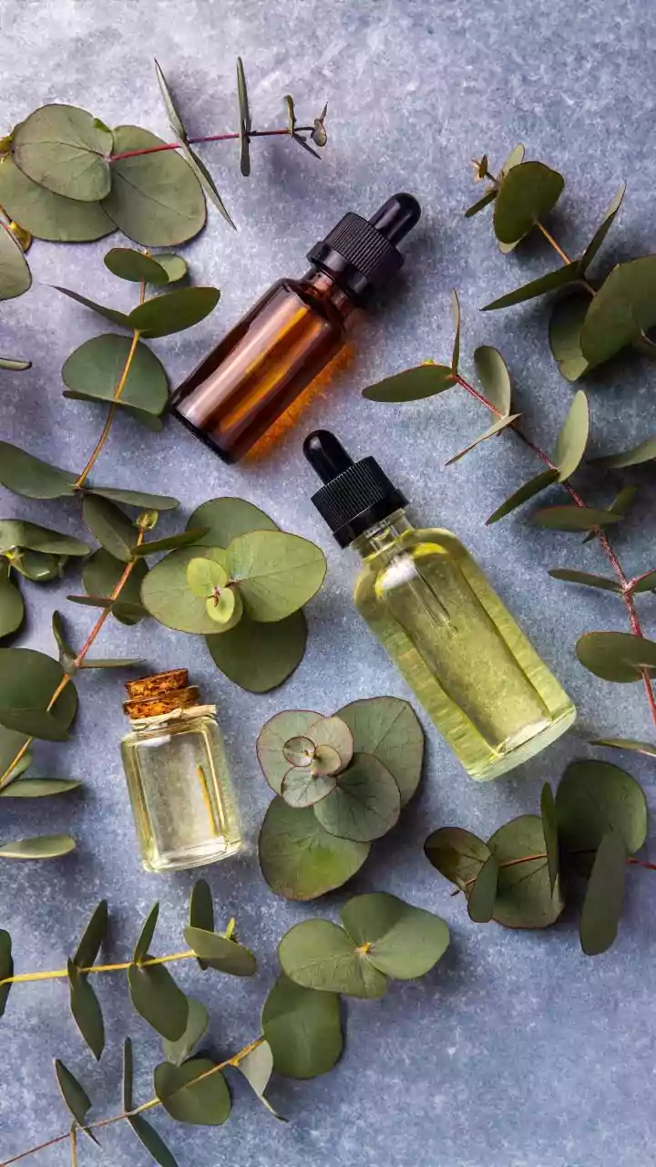 Why eucalyptus is valued for respiratory wellness