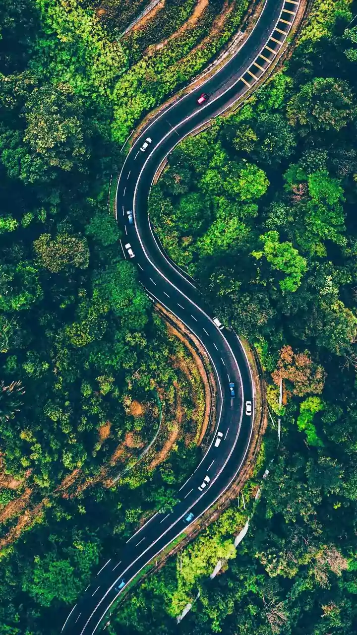 Chikmagalur Driving Routes: Experience Rain-Soaked Forests And Serene Plantation Stays