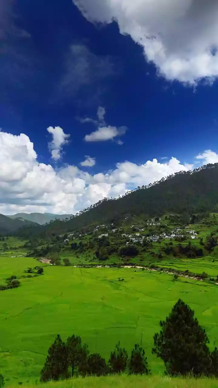 Dirang-to-Mago Takes Travellers Through Some of Arunachal's Boldest Landscapes