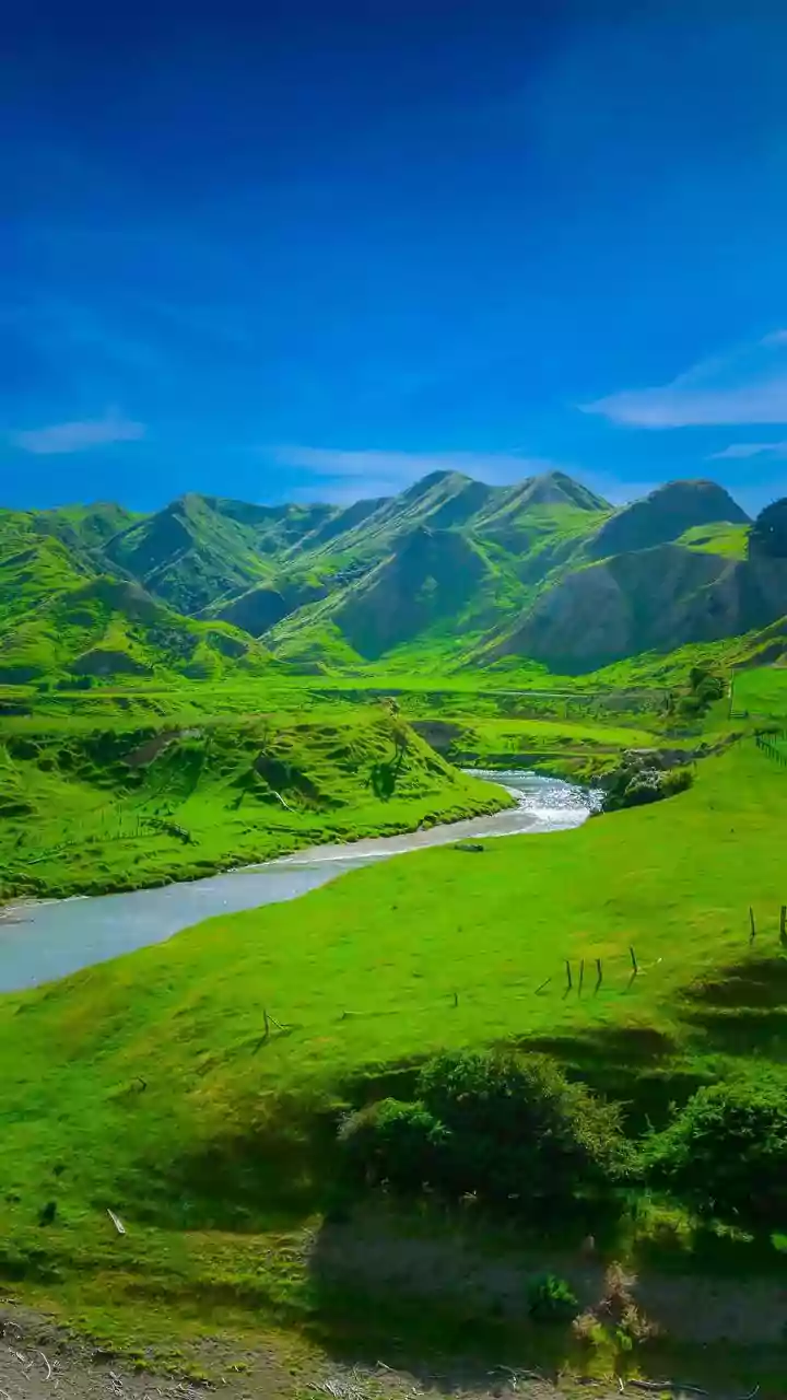 Your guide to exploring New Zealand's countryside