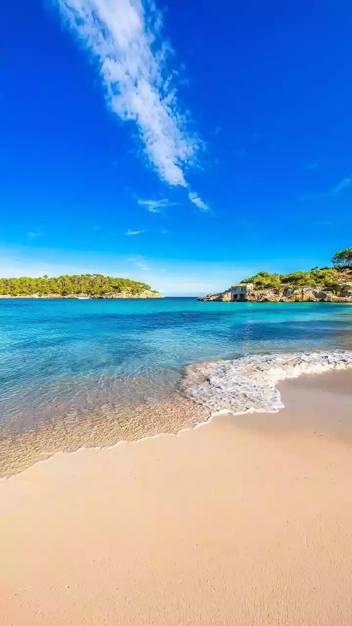 Beach Treasures: Legal Pitfalls and Ecological Harms of Taking Souvenirs Home