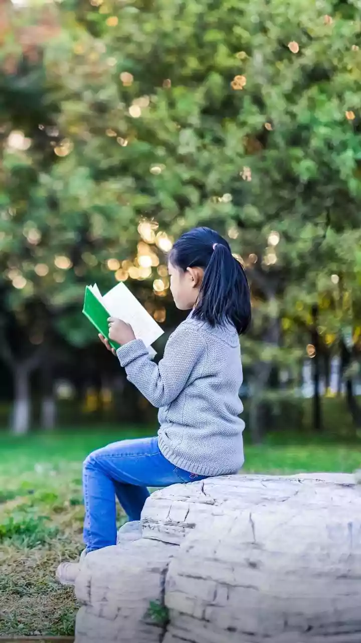 Indian Cities Could Test Outdoor Libraries in Parks and Plazas